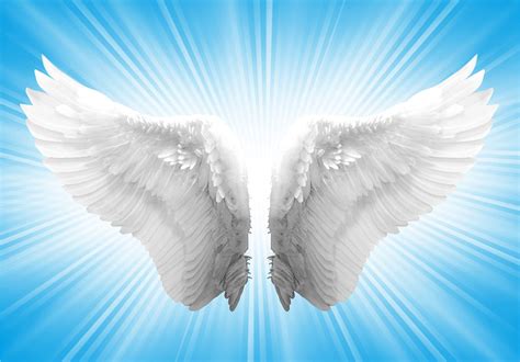 teasing angles|Angel Videos, Download The BEST Free 4k Stock Video Footage .